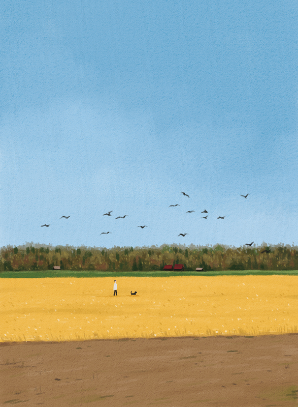 프롬메이 박지영 작가 - 가을 들판
