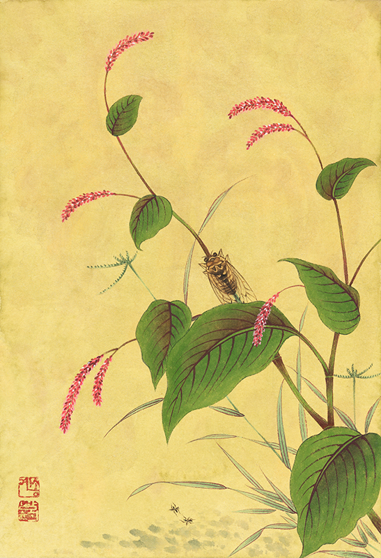 남윤희 - 초충도