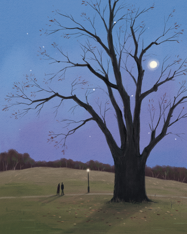 프롬메이 박지영 작가 - 달 밝은 밤에