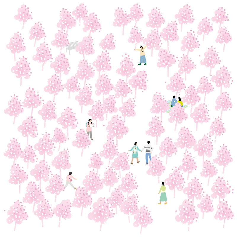 김병호 - 봄에벚꽃