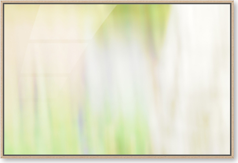 로터스 - 빛과 색의 향연 I