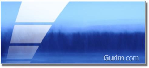 로터스 - 바람의 치유