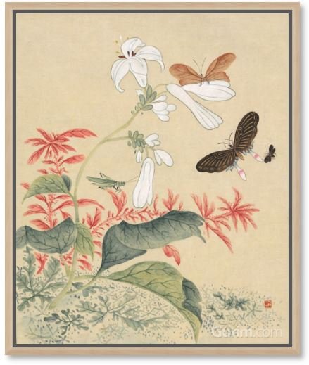 최임숙 - 심사정 (초충도_옥잠화와 색비름, 메뚜기)