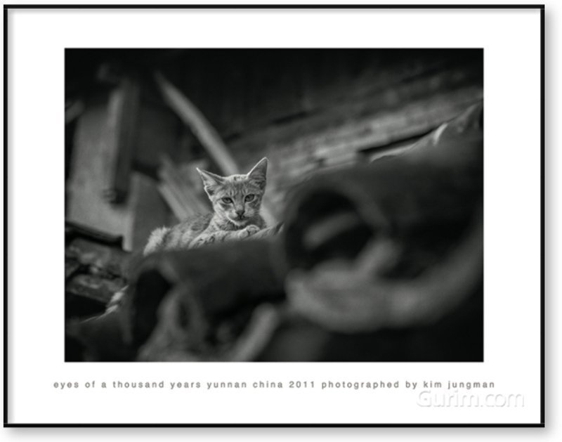 김중만 - Eyes of a Thousand Years (Yunnan China 2011)