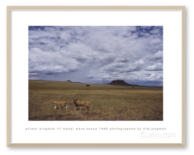 김중만 - Animal Kingdom Ⅲ (Masai Mara Kenya 1999)