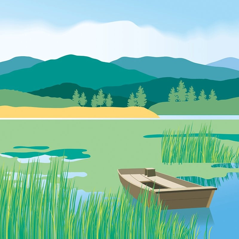 한명일 - 우포의 여름