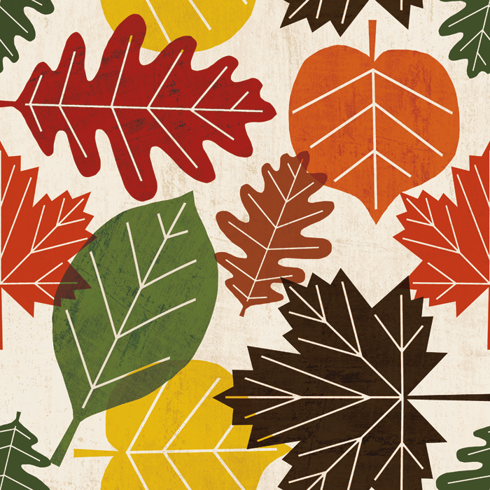 모 뮬란 - Family Tree Collection Pattern Master