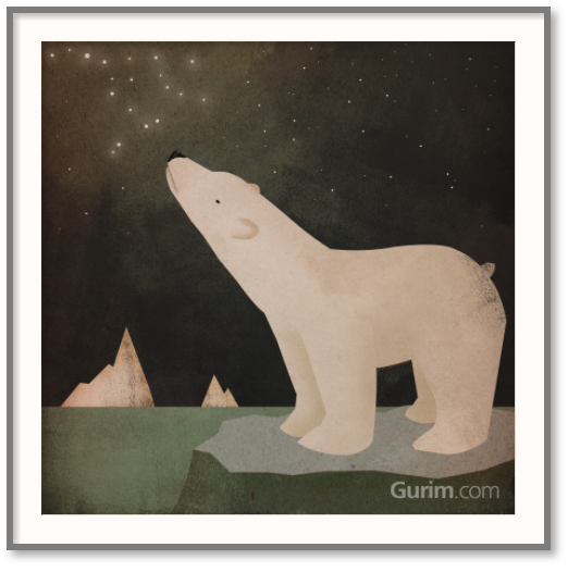 라이언 파울러 - Constellations Polar 