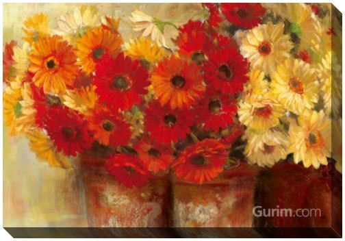 캐롤 로완 - Chelsea Gerberas-Wag