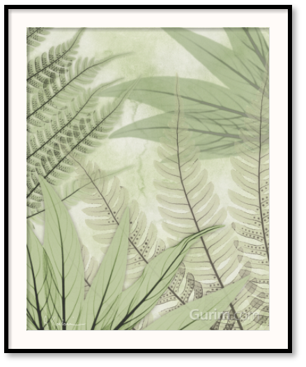 알버트 쿠치어 - Prehistoric Awakening