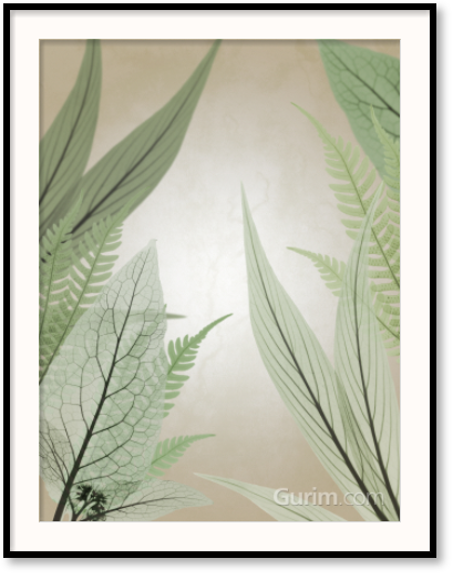 알버트 쿠치어 - Jungle Cruise