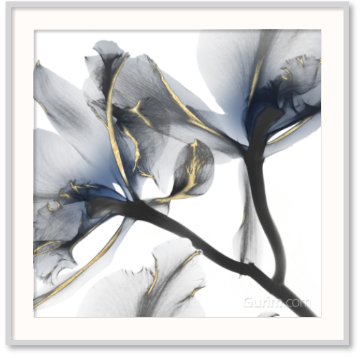 알버트 쿠치어 - Indigo Luster Cyclamen II