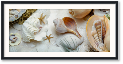 앨런 브라우슈타인 - Island Tide Pool No. 3