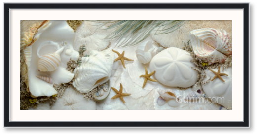 앨런 브라우슈타인 - Island Tide Pool No. 5