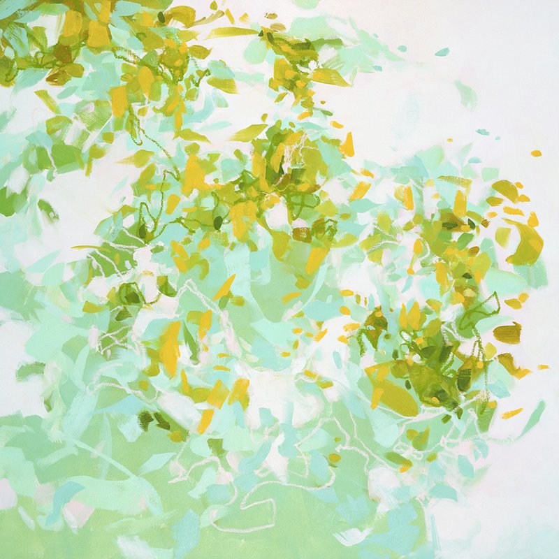 카메론 슈미츠 - Fruitful Searches