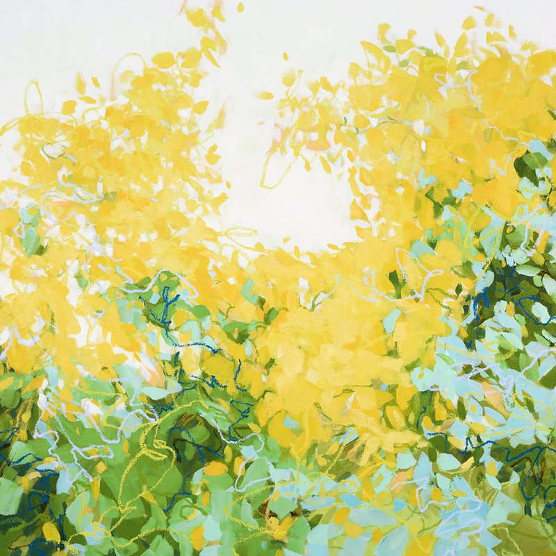 카메론 슈미츠 - Wonderment