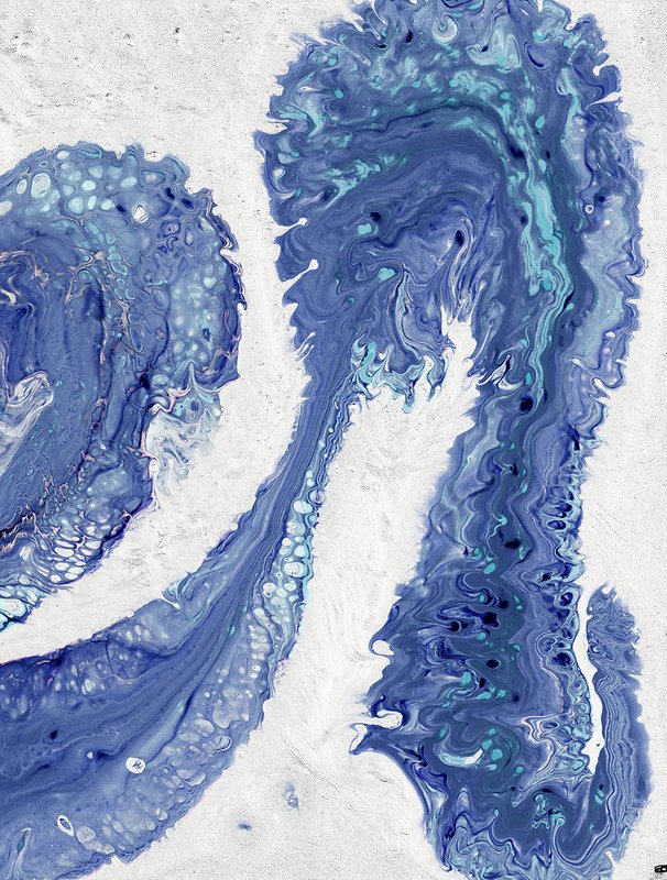 벤 슈나이더 - V32