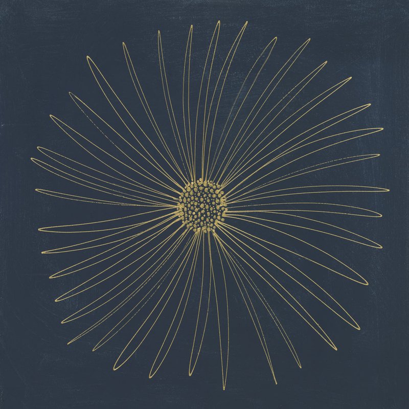 캐스 헨드릭 - Burst II