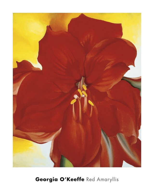 조지아 오키프 - Red Amaryllis, 1937