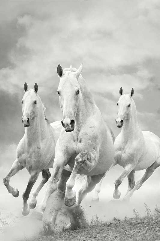 작가 미상 - The Three Graces