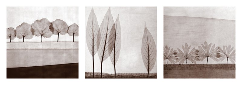 스티븐 메이어스 - Leaf Landscape Triptych