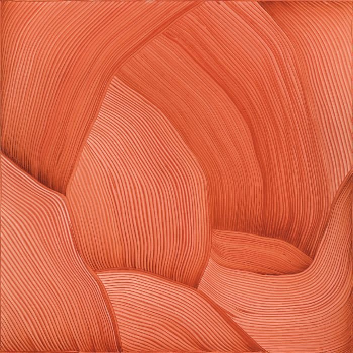 로낭 부홀렉 - Drawing 12