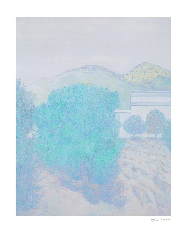 함수연 - 올리브 나무