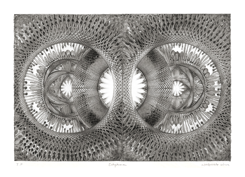 남궁환 - ENTOPTIMA