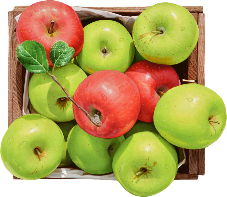 윤병락 - 녹색 위의 붉은 사과