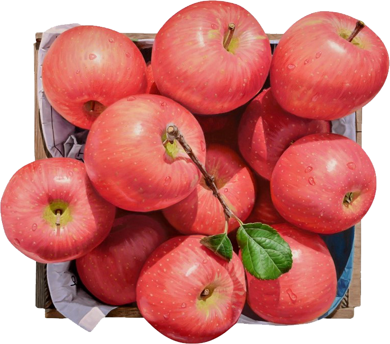 윤병락 - 가을 향기