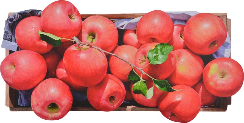 윤병락 - 행복한 사과, 행복한 사람들