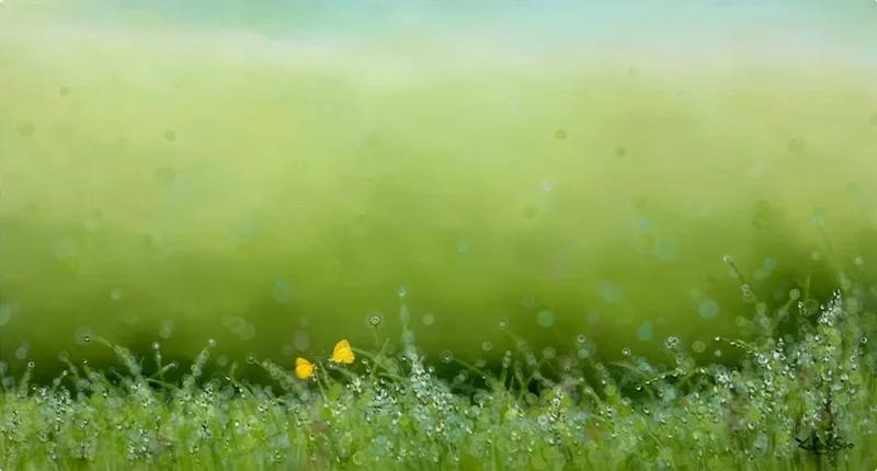 이영수 - Natural Image