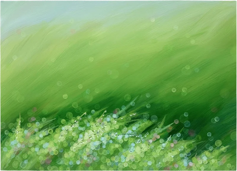 데이비드 걸스타인 - Bouquet-Dutch (3 Layer)