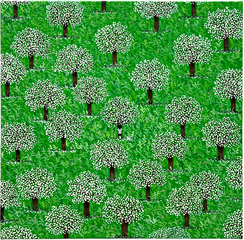 심봉민 - 숨지않는 다롱이