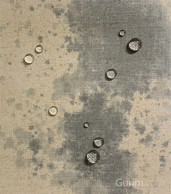 유충목 - Formation Recollection 4-1