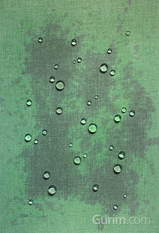 유충목 - Formation Recollection 5-5