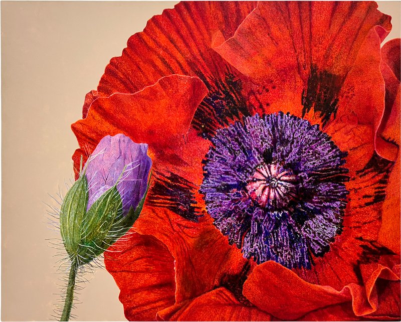 이호철 - 꽃 (만개,보라)