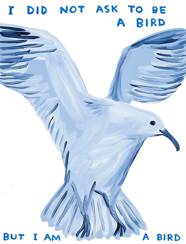 데이비드 슈리글리 - I Did Not Ask To Be a Bird