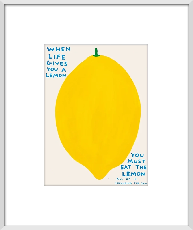 데이비드 슈리글리 - When Life Gives You A Lemon