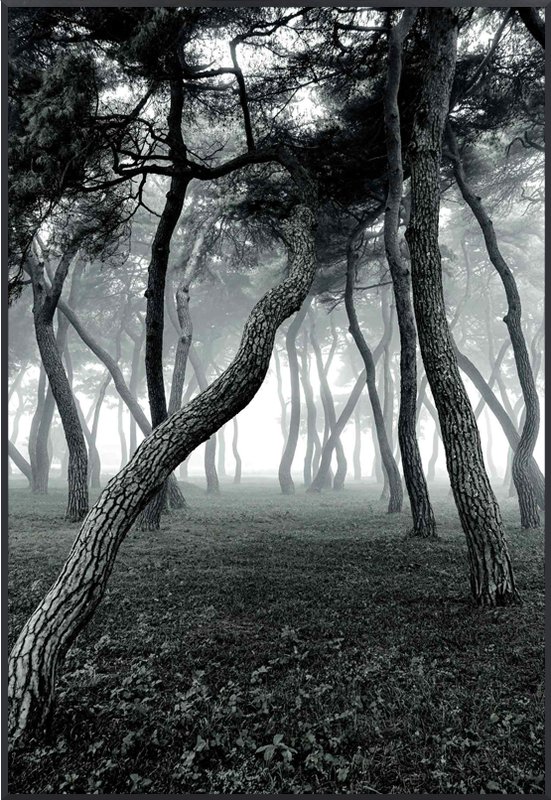 강태현 - Untitled l