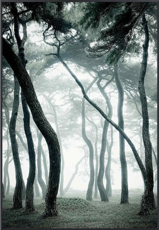 강태현 - Untitled ll