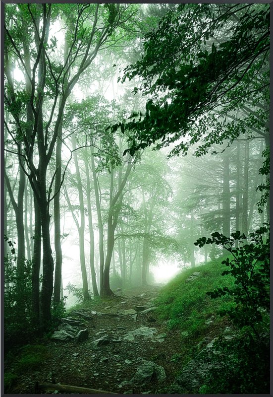 강태현 - Campocecina,