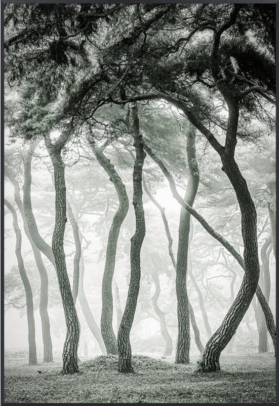 강태현 - 안개 속 속삭임 I