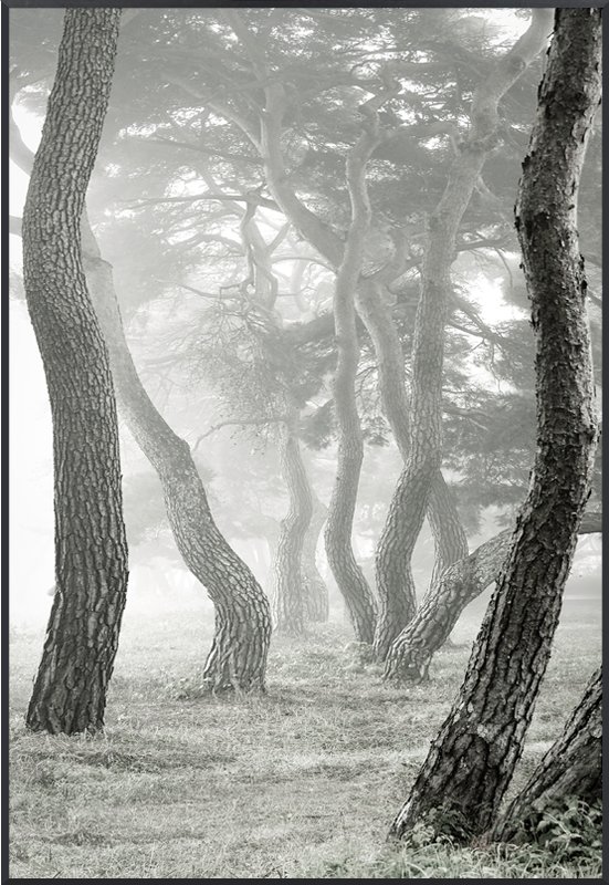 강태현 - 안개 속 속삭임 II