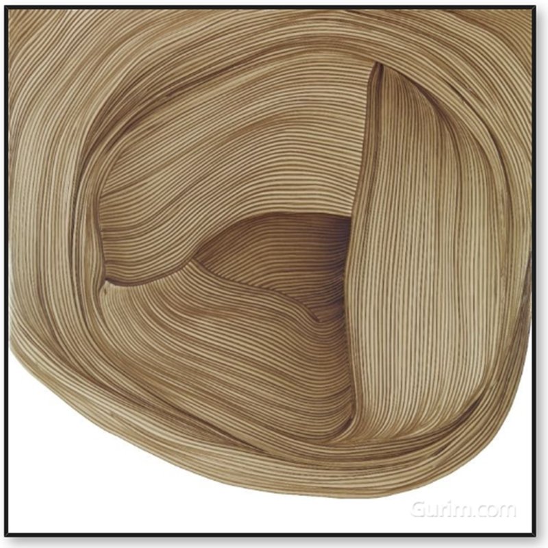 로낭 부홀렉 - Drawing 5