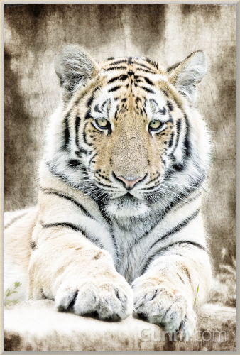 킴벌리 앨런 - Concentration