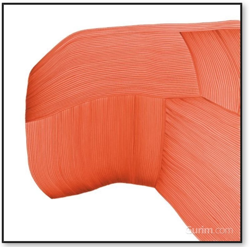 로낭 부홀렉 - Drawing 6