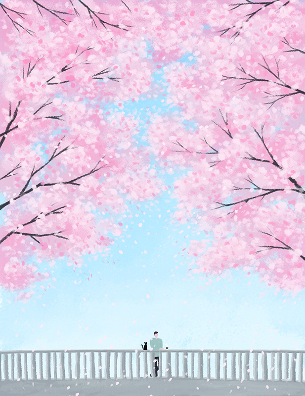 프롬메이 박지영 작가 - Under The Cherry Blossoms