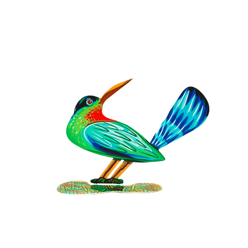 데이비드 걸스타인 - Winning Bird