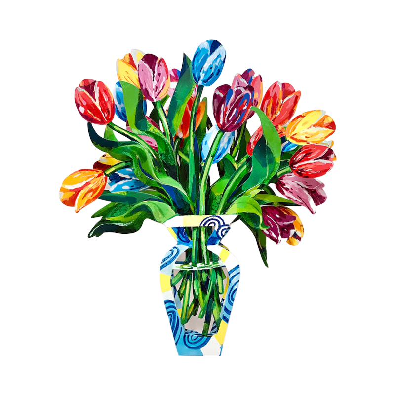 데이비드 걸스타인 - Bouquet Dutch (3 Layer)